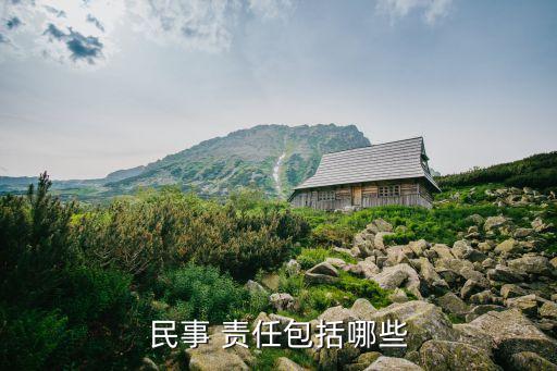 民事 責(zé)任包括哪些