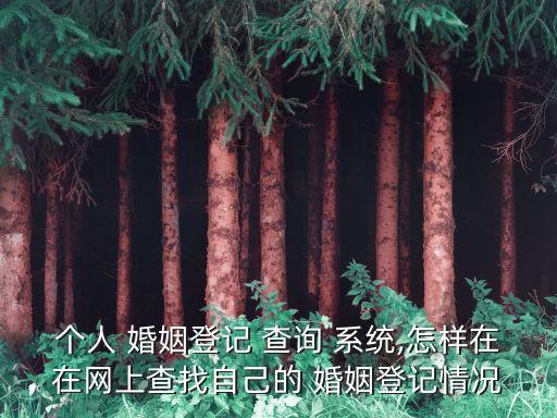 個人 婚姻登記 查詢 系統(tǒng),怎樣在在網(wǎng)上查找自己的 婚姻登記情況