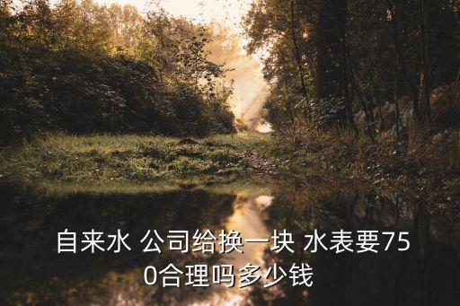  自來水 公司給換一塊 水表要750合理嗎多少錢