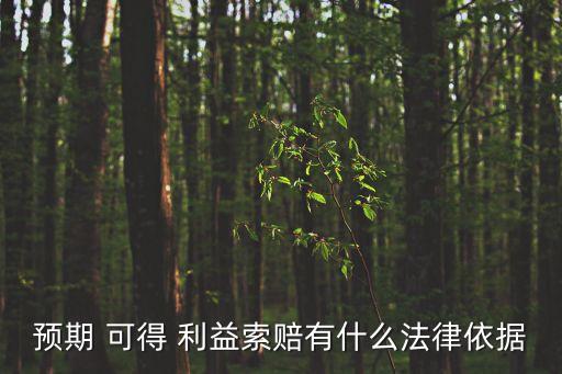 預(yù)期 可得 利益索賠有什么法律依據(jù)