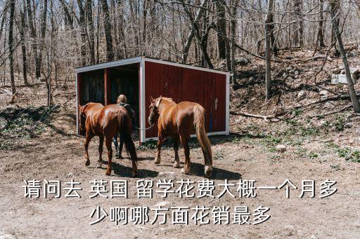 英國(guó)留學(xué)費(fèi)用,2023年英國(guó)留學(xué)費(fèi)用