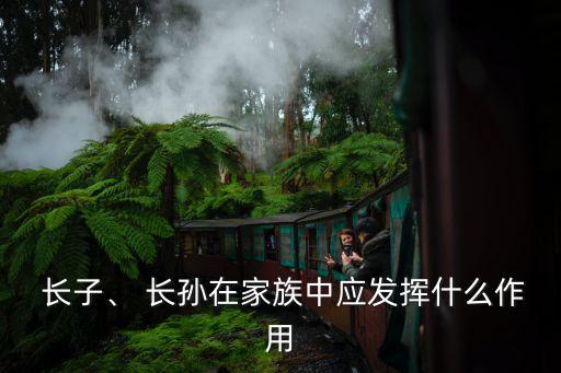  長子、 長孫在家族中應(yīng)發(fā)揮什么作用