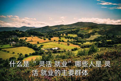 什么是靈活就業(yè)