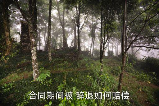 合同期間被 辭退如何賠償