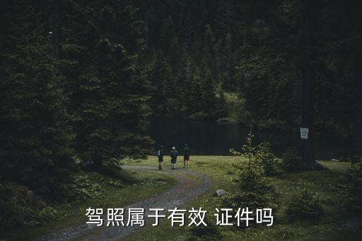 有效證件