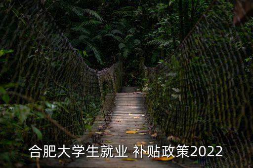 合肥大學(xué)生就業(yè) 補(bǔ)貼政策2022