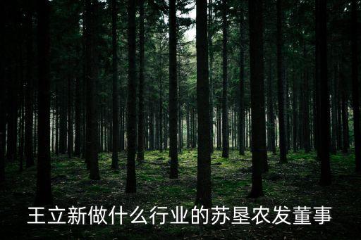 王立新做什么行業(yè)的蘇墾農發(fā)董事