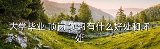 頂崗實(shí)習(xí)什么意思