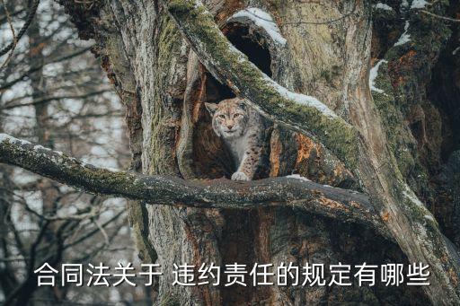 合同違約法律條款,合同法合同違約法律條款