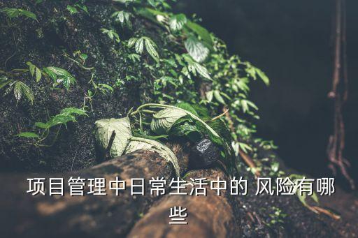  項(xiàng)目管理中日常生活中的 風(fēng)險(xiǎn)有哪些