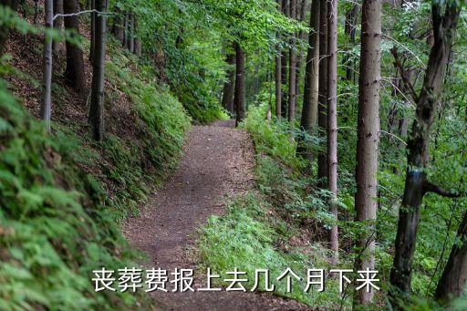 喪葬費(fèi)多久到賬,2023年喪葬費(fèi)多久到賬