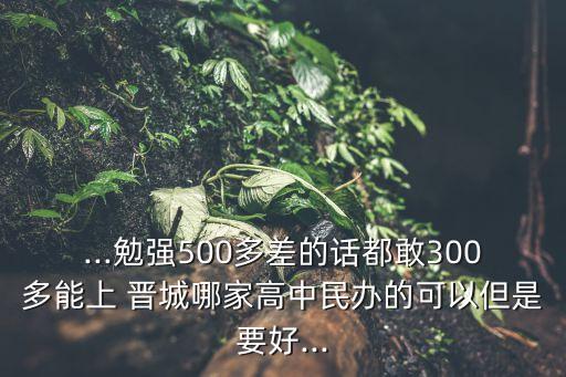 ...勉強(qiáng)500多差的話都敢300多能上 晉城哪家高中民辦的可以但是要好...