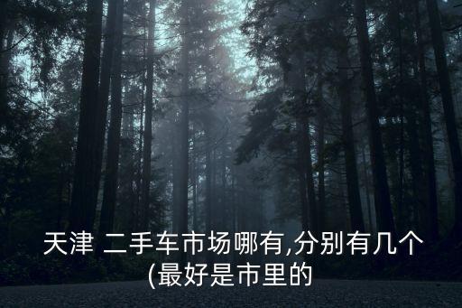  天津 二手車市場(chǎng)哪有,分別有幾個(gè)(最好是市里的