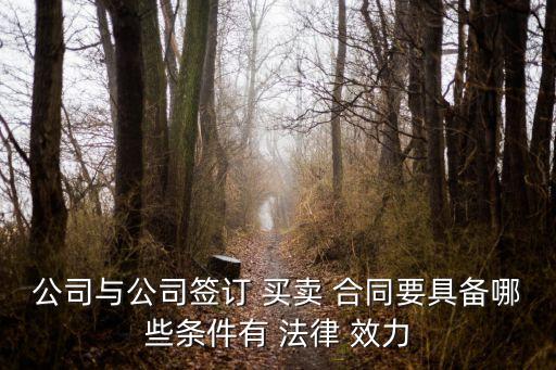 買賣合同法律效力如何規(guī)定