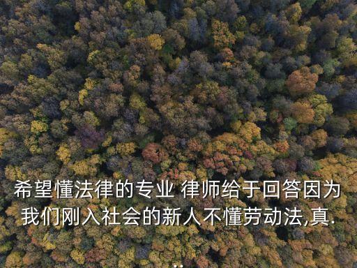 希望懂法律的專業(yè) 律師給于回答因?yàn)槲覀儎側(cè)肷鐣?huì)的新人不懂勞動(dòng)法,真...