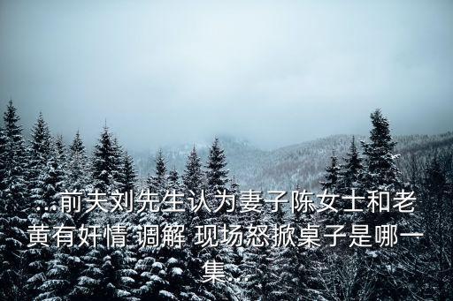 ...前夫劉先生認(rèn)為妻子陳女士和老黃有奸情 調(diào)解 現(xiàn)場怒掀桌子是哪一集...