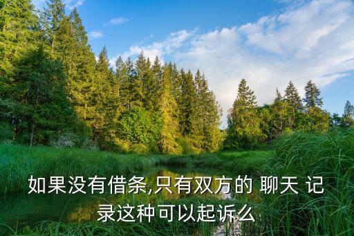 如果沒有借條,只有雙方的 聊天 記錄這種可以起訴么