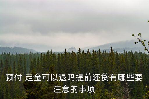 合同法115條定金條款,定金合同違約怎樣賠償