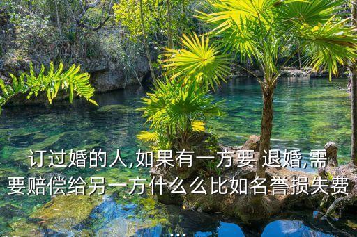 訂過(guò)婚的人,如果有一方要 退婚,需要賠償給另一方什么么比如名譽(yù)損失費(fèi)...