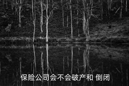  保險(xiǎn)公司會(huì)不會(huì)破產(chǎn)和 倒閉