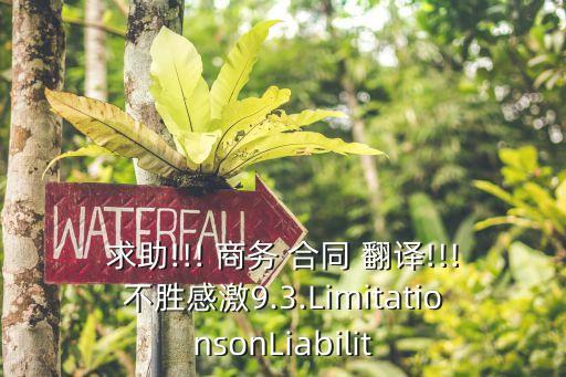 求助!!! 商務(wù) 合同 翻譯!!!不勝感激9.3.LimitationsonLiabilit
