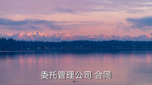 委托管理公司 合同