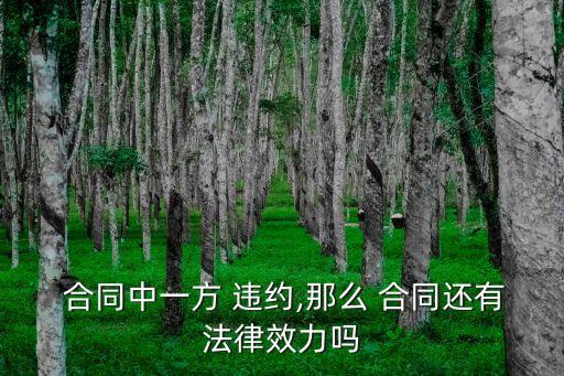 合同約定違約責(zé)任有效嗎,擔(dān)保合同約定專門的違約責(zé)任