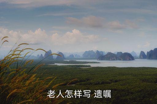  老人怎樣寫 遺囑