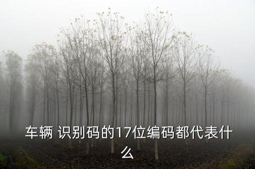  車輛 識(shí)別碼的17位編碼都代表什么