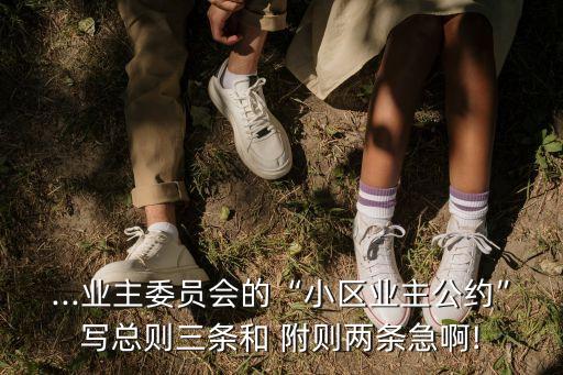 附則怎么寫(xiě),負(fù)責(zé)怎么寫(xiě)