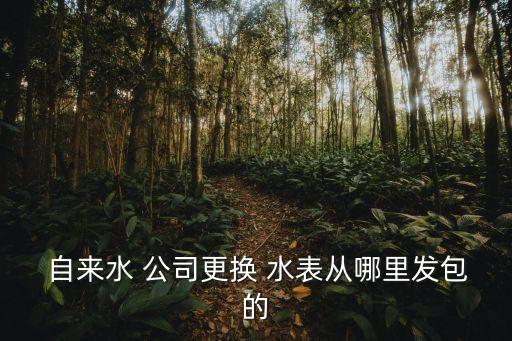  自來水 公司更換 水表從哪里發(fā)包的