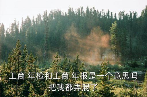 年檢年報,個人營業(yè)執(zhí)照年檢年報