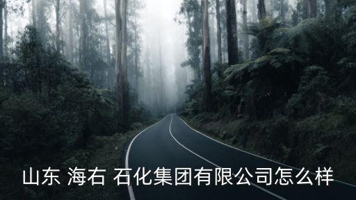 海右石化