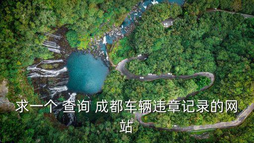 求一個 查詢 成都車輛違章記錄的網(wǎng)站