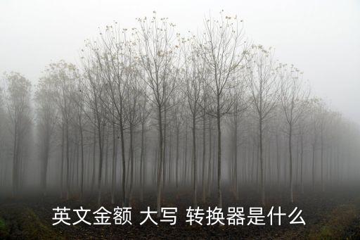 英文金額 大寫(xiě) 轉(zhuǎn)換器是什么