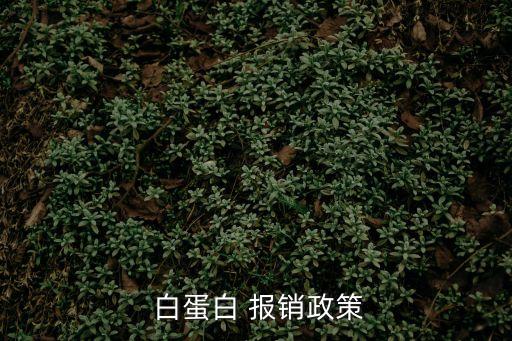  白蛋白 報銷政策