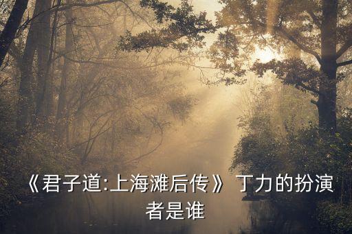 《君子道:上海灘后傳》 丁力的扮演者是誰