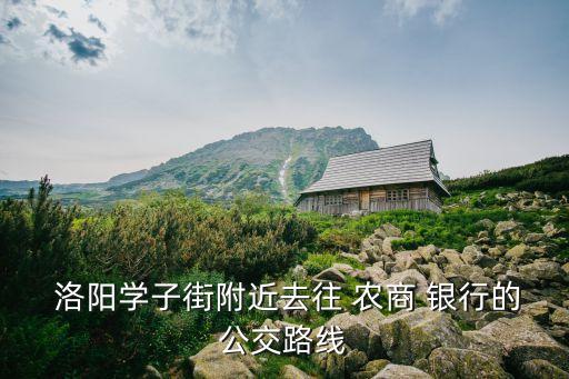  洛陽(yáng)學(xué)子街附近去往 農(nóng)商 銀行的公交路線(xiàn)