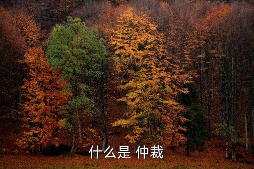 仲裁什么意思,悠悠有品客服仲裁什么意思