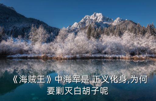 絕對(duì)正義