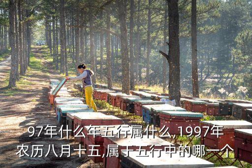97年什么年五行屬什么,1997年農(nóng)歷八月十五,屬于五行中的哪一個(gè)