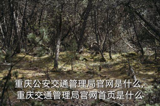  重慶公安交通管理局官網(wǎng)是什么, 重慶交通管理局官網(wǎng)首頁(yè)是什么