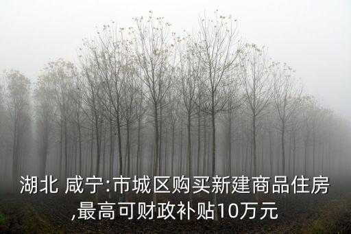 湖北 咸寧:市城區(qū)購買新建商品住房,最高可財(cái)政補(bǔ)貼10萬元