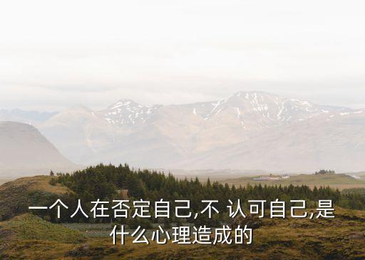 不認可