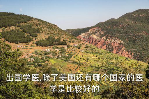 出國(guó)學(xué)醫(yī),除了美國(guó)還有哪個(gè)國(guó)家的醫(yī)學(xué)是比較好的