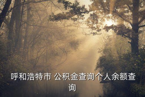  呼和浩特市 公積金查詢個人余額查詢