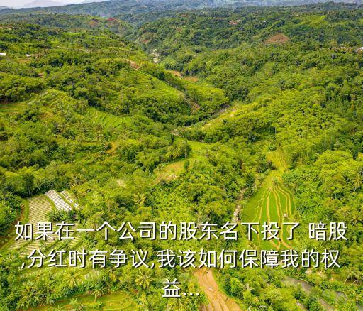 如果在一個(gè)公司的股東名下投了 暗股,分紅時(shí)有爭議,我該如何保障我的權(quán)益...
