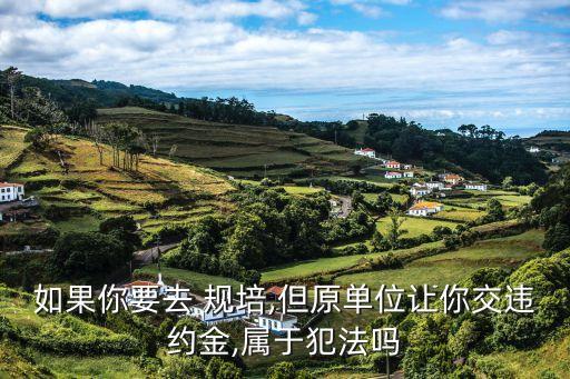 規(guī)培合同適用哪個法律