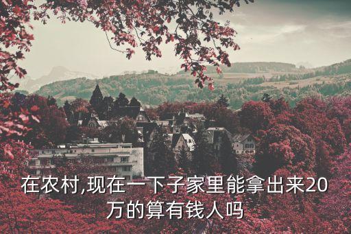 在農(nóng)村,現(xiàn)在一下子家里能拿出來20萬的算有錢人嗎