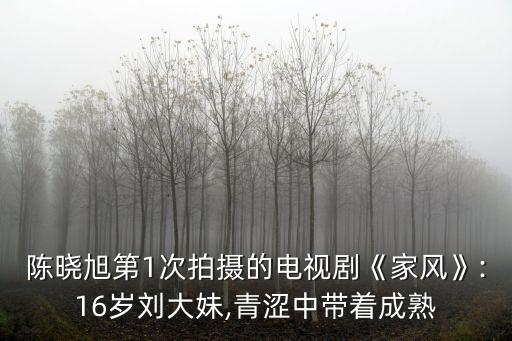 陳曉旭第1次拍攝的電視劇《家風(fēng)》:16歲劉大妹,青澀中帶著成熟